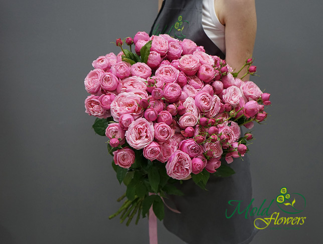 Silva Pink Rose 50 cm photo